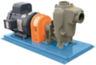 Picture of Diesel Pump Buyer's Guide