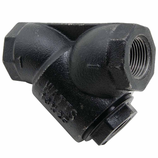 Picture of Y-Line Strainer, Cast Iron, 20 Mesh Screen (Stainless), 1-1/4" FPT Ports, Threaded