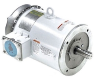Picture of Washdown Motors,  White Epoxy, 3 Phase