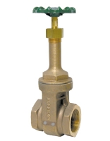Picture of Gate Valve with Expansion Relief, 2" FPT Ports, Non-Locking