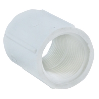 Picture of Coupling, PVC, 1IN Thread X Thread, Schedule 40