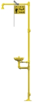 Picture of Combination Drench Shower/ Eye Wash Station