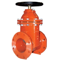Picture of Gate Valve, Ductile Iron, 2-1/2" Flanged Ports