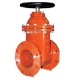 Picture of Gate Valve, Ductile Iron, 2-1/2" Flanged Ports