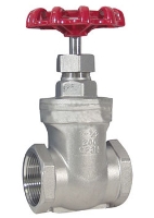 Picture of Stainless Gate Valve, 1" FPT