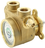 Picture of Rotary Vane Pump, Low Flow, Brass, 1.7 Max GPM, C-Face, with Relief Valve, No Strainer